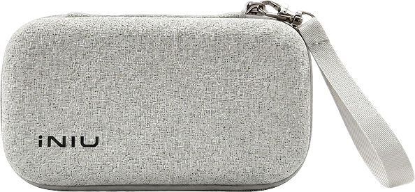 Travel Tech Pouch