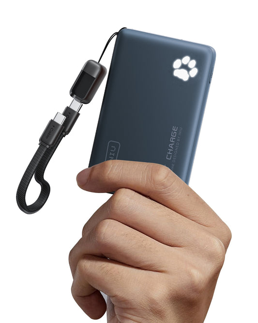 INIU Power Bank P41 Niebieski