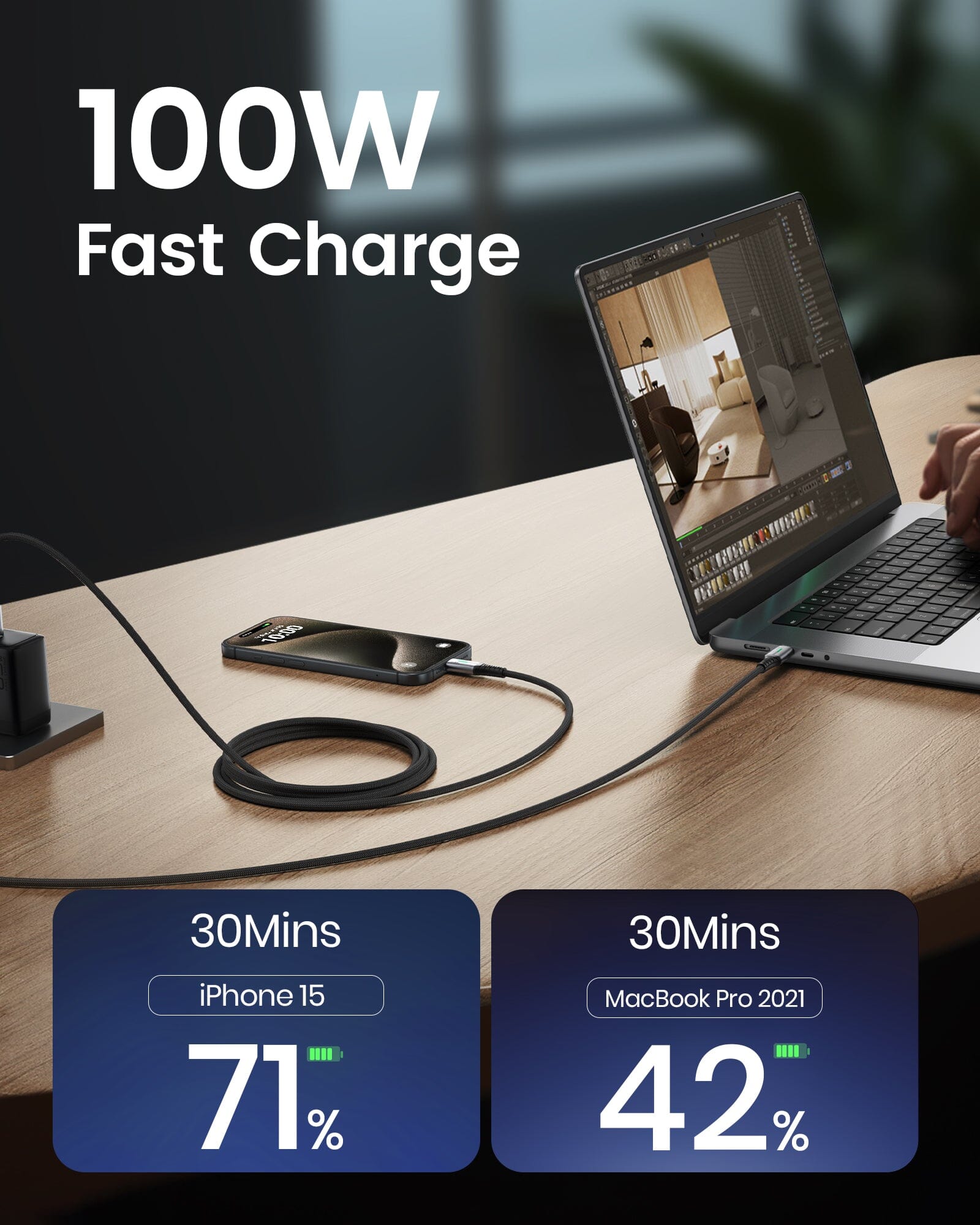 INIU D5CC USB C to C Cable 100W ( 1-Pack)
