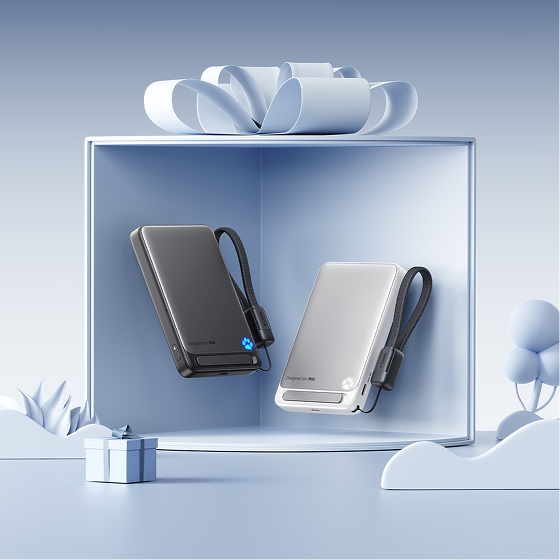 Das Snap & Go Wireless Duo