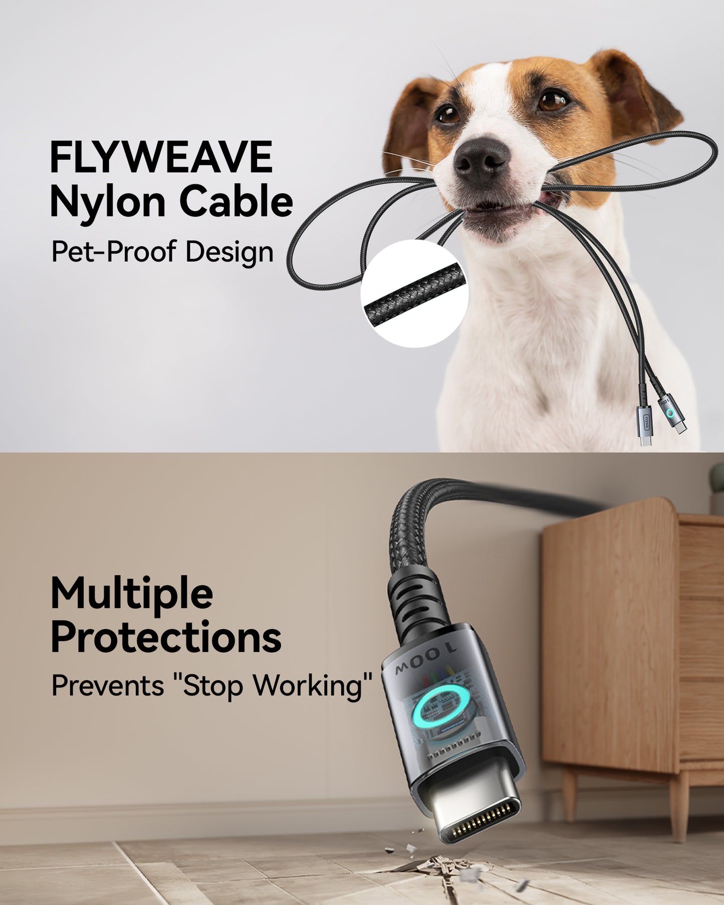 INIU 100W USB C 轉 USB C 連接線（6.6 英尺，2 條裝）