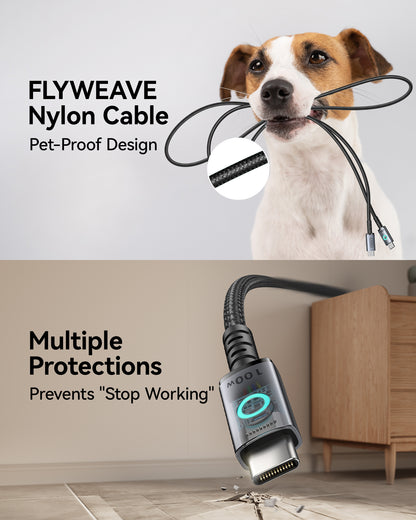 INIU 100W USB C 轉 USB C 連接線（6.6 英尺，2 條裝）