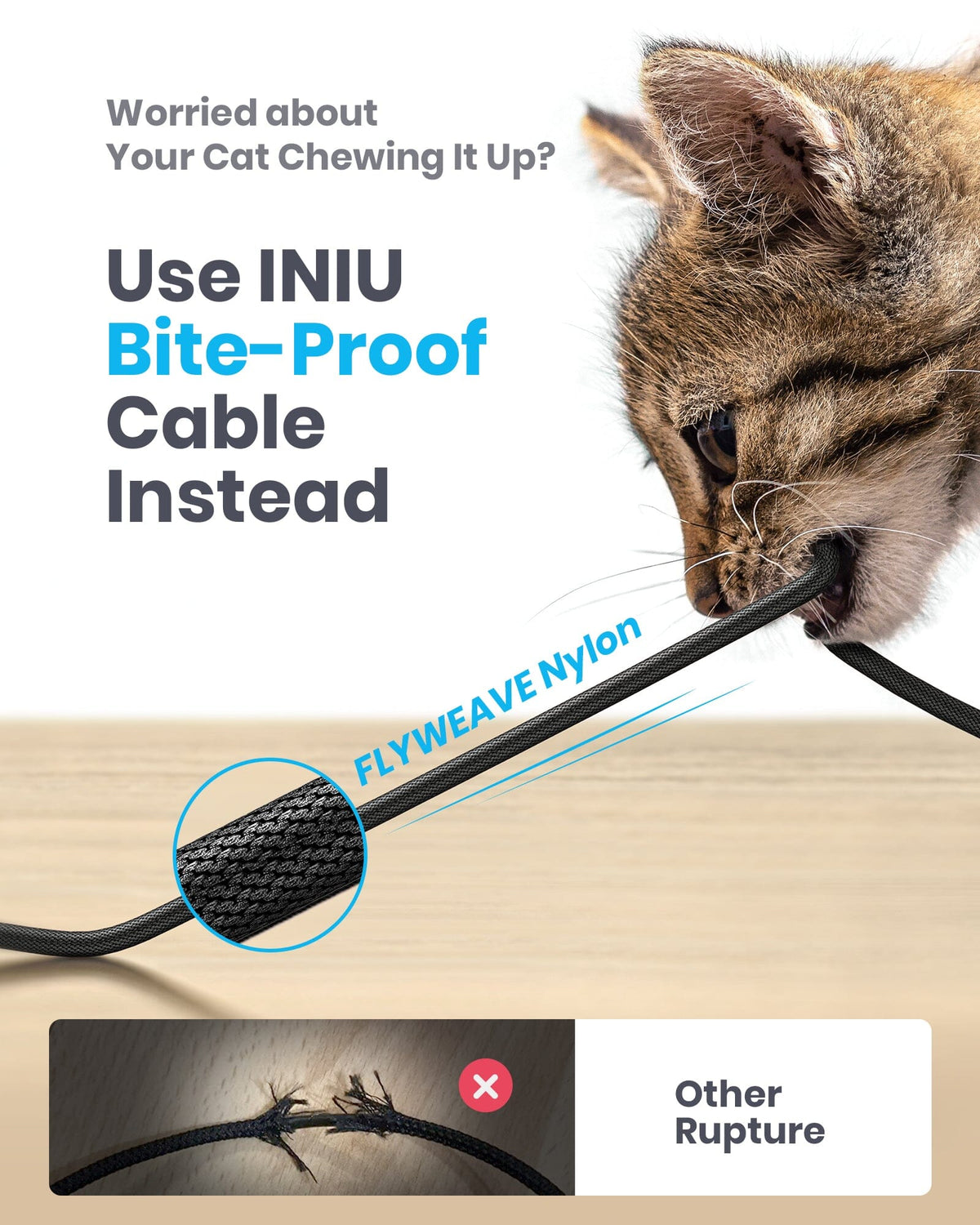 Kitten chews durable INIU USB-C cable, bite-proof FLYWEAVE nylon. Black Friday deals on tech gifts for men.