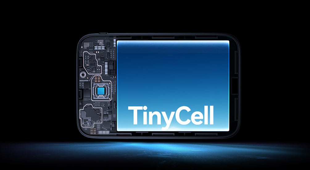 High-Density TinyCell